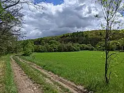 Údolí Podbradeckého potoka pod Brníkovem, vpravo na svazích les Háj chráněný v rámci PP