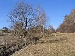 Tok Velké Hané v PP Údolí Velké Hané.