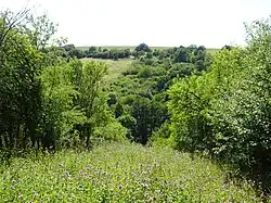 Pohled ze starých sadů na bývalé pastviny