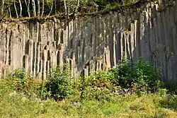 Čedičové varhany u Hlinek