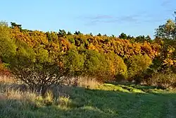 Západní okraj chráněného území