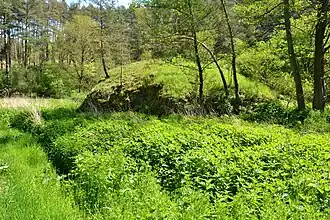 Přírodní památka Čertova hráz