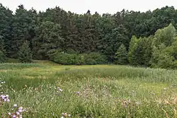 PP Červená Třemešná - rybník