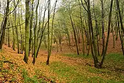 PP Červený Hrádek