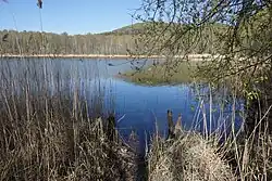 chráněná část břehů Červeného rybníka