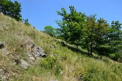 PP Štěpánovská hora