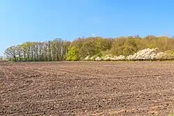 Pohled na Žiželický les