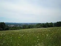 Bílé stráně u Štětí