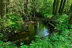 PP Bedřichovský potok