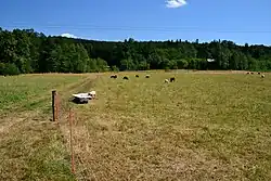 Západní část území využívaná jako pastvina