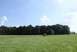 Chráněné území je úzký pruh vlhkých luk podél lesa