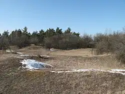 Prohlubně po těžbě opuky