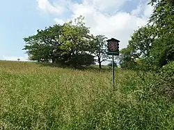 Vstup na přírodní památku Bralová