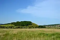 Kopec Chlum od Srpiny