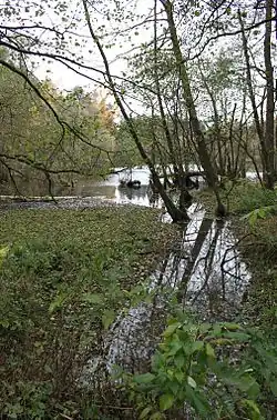 přítok Rozsečského potoka do rybníka Cukl