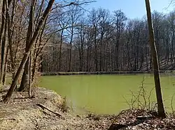 Nejsevernější část přírodní památky u Prodašic