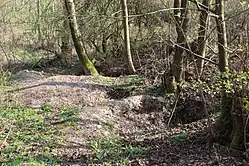 Jámy po nelegálním hledání heřmanovských koulí