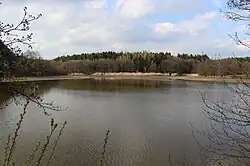 Přírodní památka Hodíškovský rybník