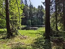 Pohled na Ivaniny rybníčky v květnu 2023