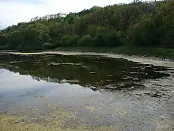 Přírodní památka Jalový dvůr