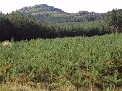 Velký Jelení vrch, vpravo Malý Jelení vrch