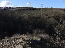 ovocný sad z přírodní památky Jenerálka