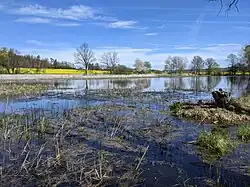 Trkovské jezero od jihu