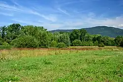 PP Kateřina – mokřad