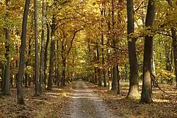 Cesta na jižním okraji PP Kersko