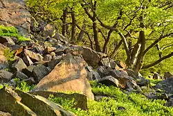 Úbočí svahu pod vrcholem