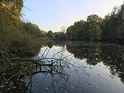 Kolínské tůně v roce 2020