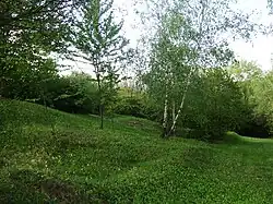 Přírodní památka Koukolky