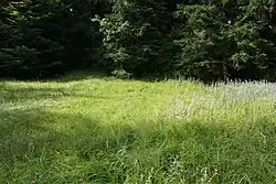 PP Kyčmol v srpnu 2020