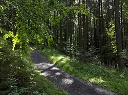 cesta procházející územím PP