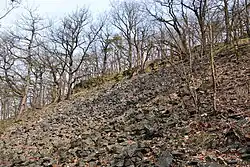 Kamenné moře na úbočí Zámeckého vrchu