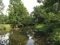 Řeka a její břehy