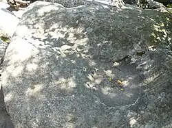 Mísa (skalní tvar)