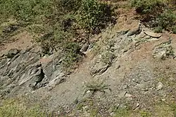 Skalní výchoz v přírodní památce Margecianska línia