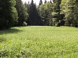 PP Mlýnský potok a Uhlířky, část Mlýnský potok