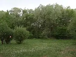 Severní hranice chráněného území