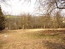 PP Na Kopaninách na jaře