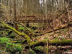 PP Na Kutinách. Lávka v horní části rokle převádí pěšinu na druhou stranu k silnici