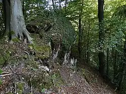 nevelký vápencový ostroh v PP Na Vápenici