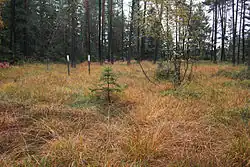 Oblast přírodní památky na podzim