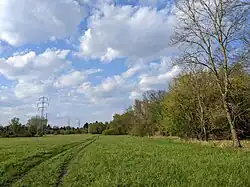 PP Očovské louky v dubnu 2023