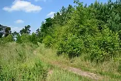 Cesta v chráněném území