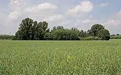 PP Písky, pohled od jihovýchodu