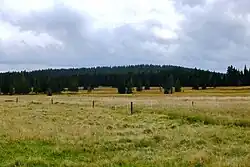 Přebuzské vřesoviště