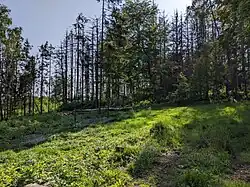 Pohled na lokalitu v květnu 2023