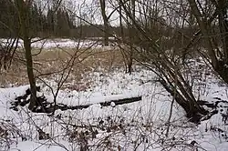 PP Pod Rýzmburkem v lednu 2019